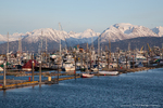 Homer Port & Harbor, Alaska
