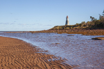 Cape Jourimain Lighthouse-953