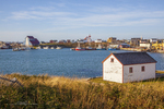 Bonavista Harbour-362