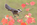 Grey Jay